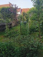 IMG_20250614_082108.jpg