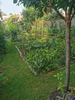IMG_20250614_082104.webp