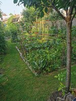 IMG_20250614_082104.jpg
