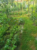 IMG_20250614_082122.webp