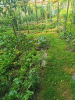 IMG_20250614_082122.jpg