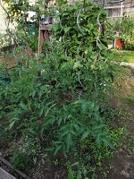 IMG_20250614_082320.jpg