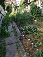 IMG_20250614_082524.jpg