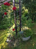 IMG_20250614_082658.jpg