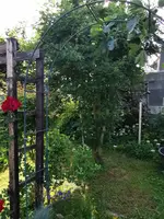 IMG_20250614_082703.webp