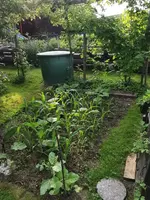 IMG_20250614_082819.webp