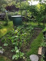 IMG_20250614_082819.jpg