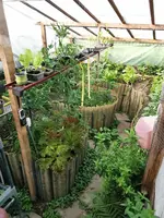 IMG_20250614_082942.webp