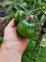 IMG_20250614_083425.jpg