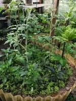 IMG_20250614_083437.webp
