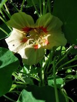 IMG_20250622_083707.jpg