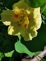 IMG_20250622_083728.webp