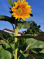 IMG_20250623_071903.jpg