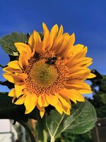 IMG_20250623_071908.jpg