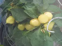 Verhütet 23.06 (2).webp