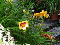 DSC05118.JPG