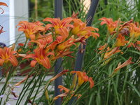 DSC05120.JPG