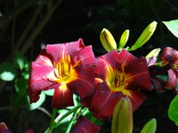 DSC05121.JPG