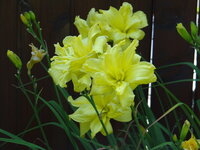 DSC05125.JPG