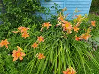 IMG_20250623_184405.webp