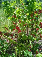 IMG_20250623_144300_1.webp