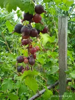 IMG_20250623_144043.webp