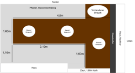 Layout Garten Baum+.png