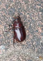 20250624_171435.webp