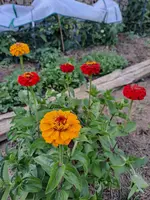 1000032381.webp