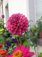 001.webp