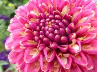 004.webp