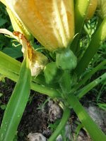 IMG_20250622_083803.jpg