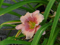DSC05129.JPG