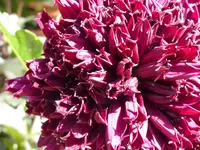 002.webp