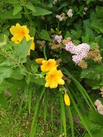 IMG_20250625_182513.jpg