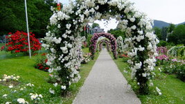 DSCF5074.JPG