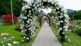 DSCF5074.webp
