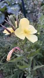 IMG_4789.jpeg