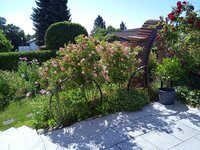 IMG_20250624_095218.jpg