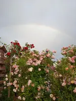 IMG_20250626_063135_1.webp