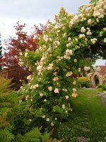 IMG_20250626_063303.jpg