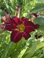 IMG_8895.jpeg