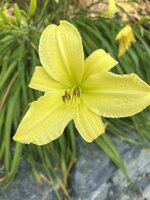 IMG_8896.jpeg
