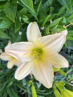 IMG_8897.jpeg