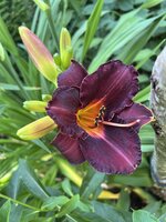 IMG_8899.jpeg