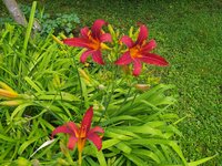 IMG_20250626_100629.jpg