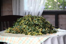 Lindenblüten 0125.JPG