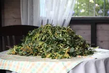 Lindenblüten 0125.webp