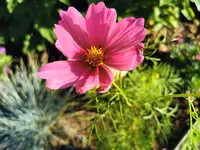 IMG_20250626_072544.webp