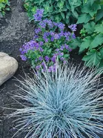 IMG_20250624_192508.webp